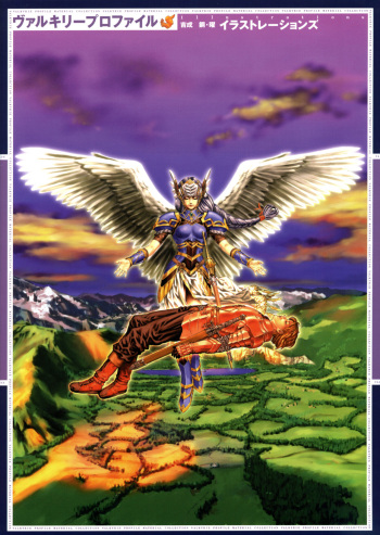 Valkyrie Profile Settings Data Collection_20241021 cover