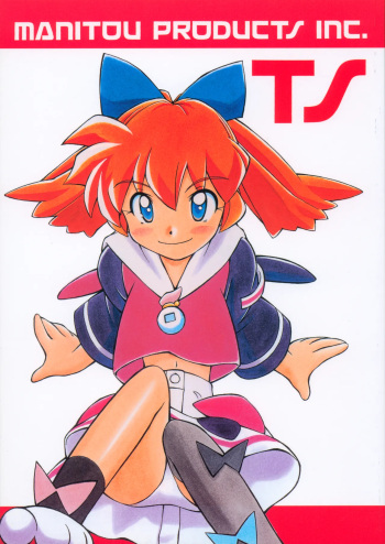 TS cover