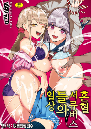 Konketsu Succubus tachi no Nichijou | 혼혈 서큐버스들의 일상 cover
