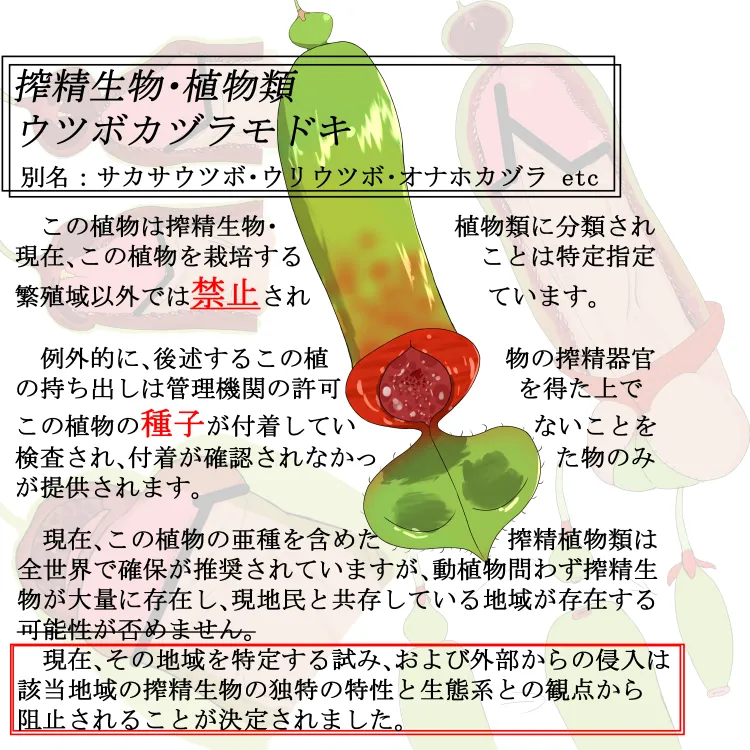 Shibo sei seibutsu sono 2: Utsubokadzuramodoki page 1 full