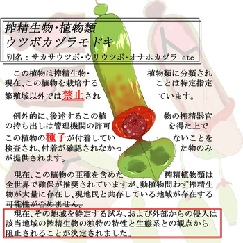 Shibo sei seibutsu sono 2: Utsubokadzuramodoki cover
