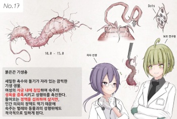 Mushi Research Report No.17 cover