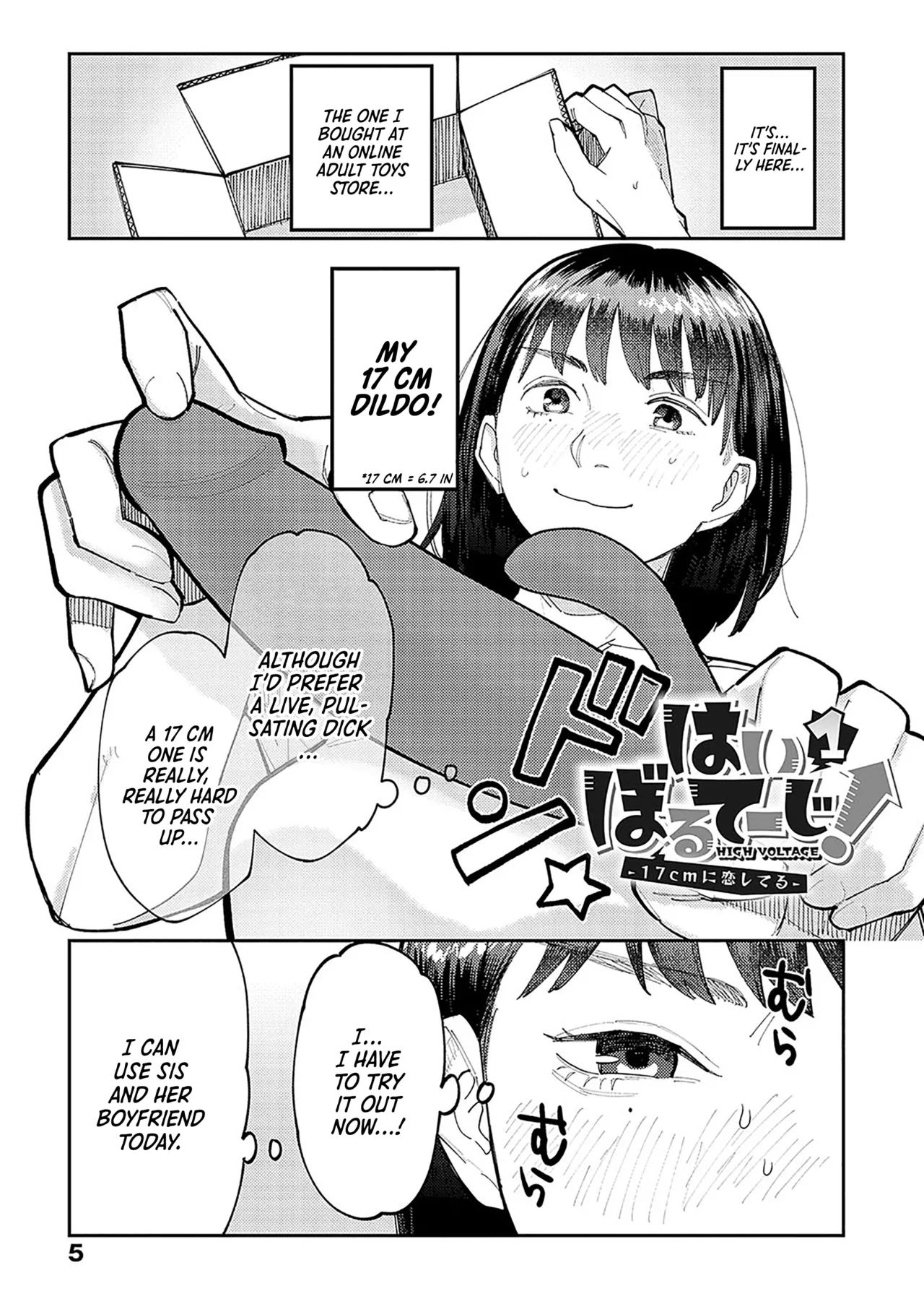 Hai Boruteji! - 17cm ni Koishiteru | High Voltage! 17cm Deep in Love! page 5 full