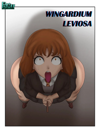 Wingardium Leviosa cover