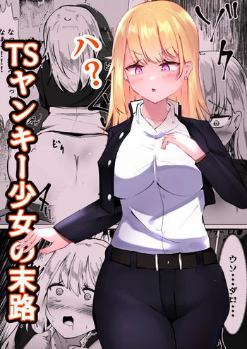 TS Yankee Shoujo no Matsuro cover