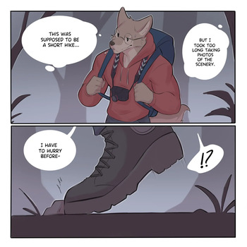 A Late Hike cover