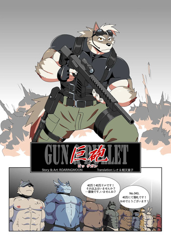 Gun &amp; Bullet cover