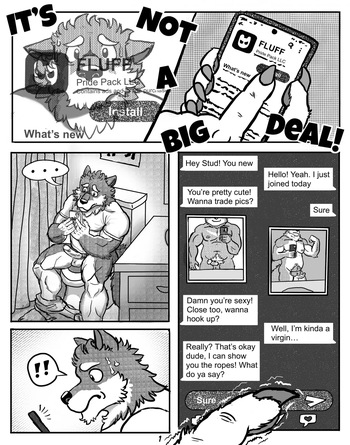It’s Not a Big Deal cover