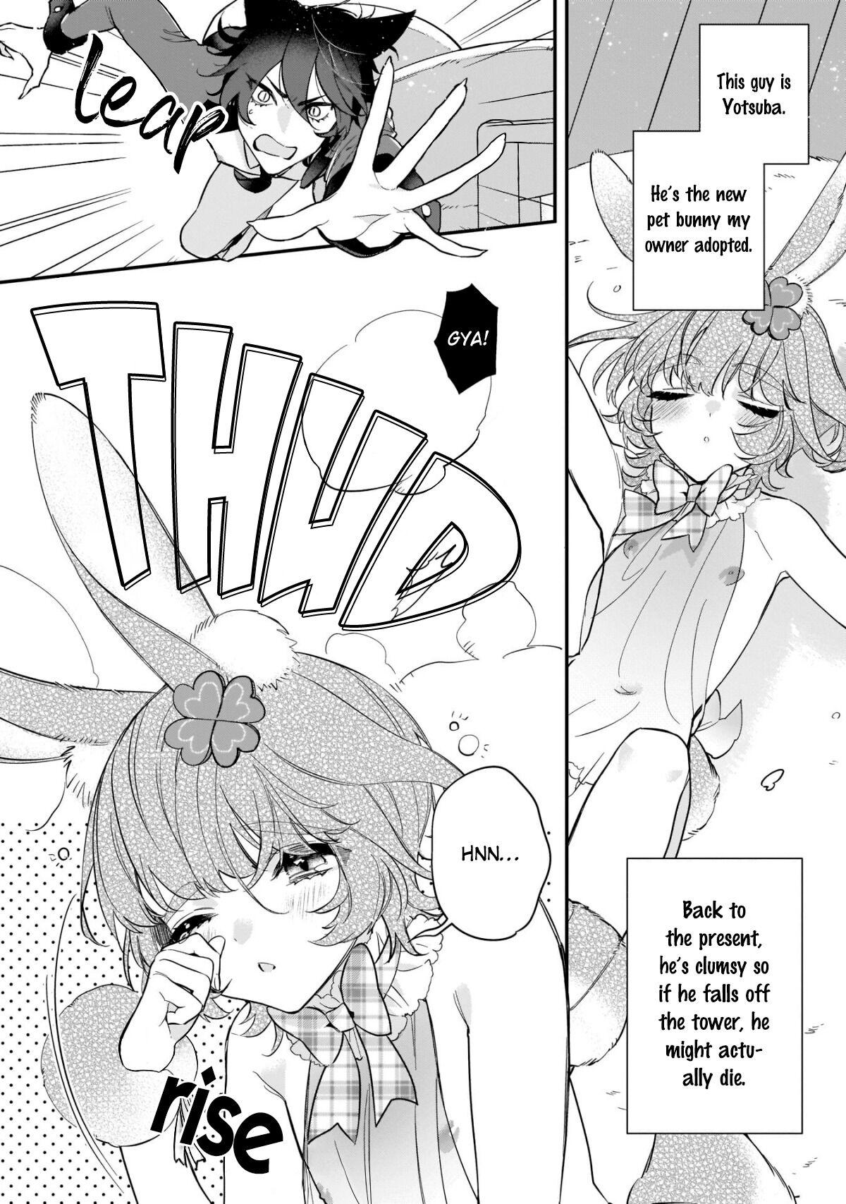 Neko hame usagi-chan wa gaman shinai page 5 full