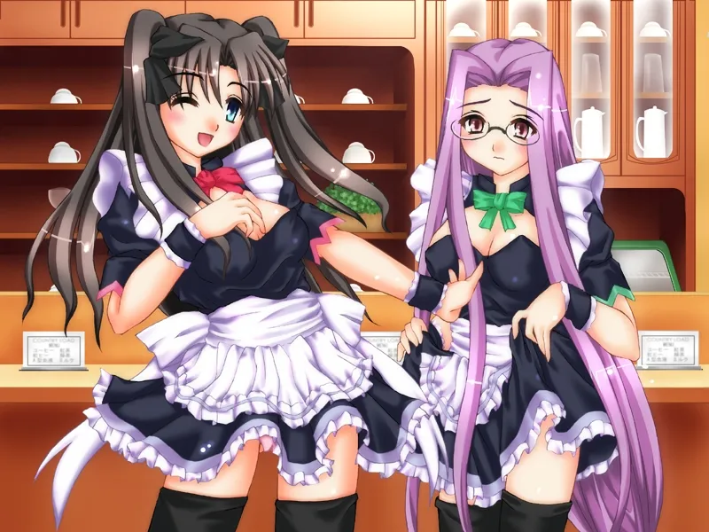 Maid/stay night page 5 full