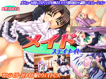 Maid/stay night cover