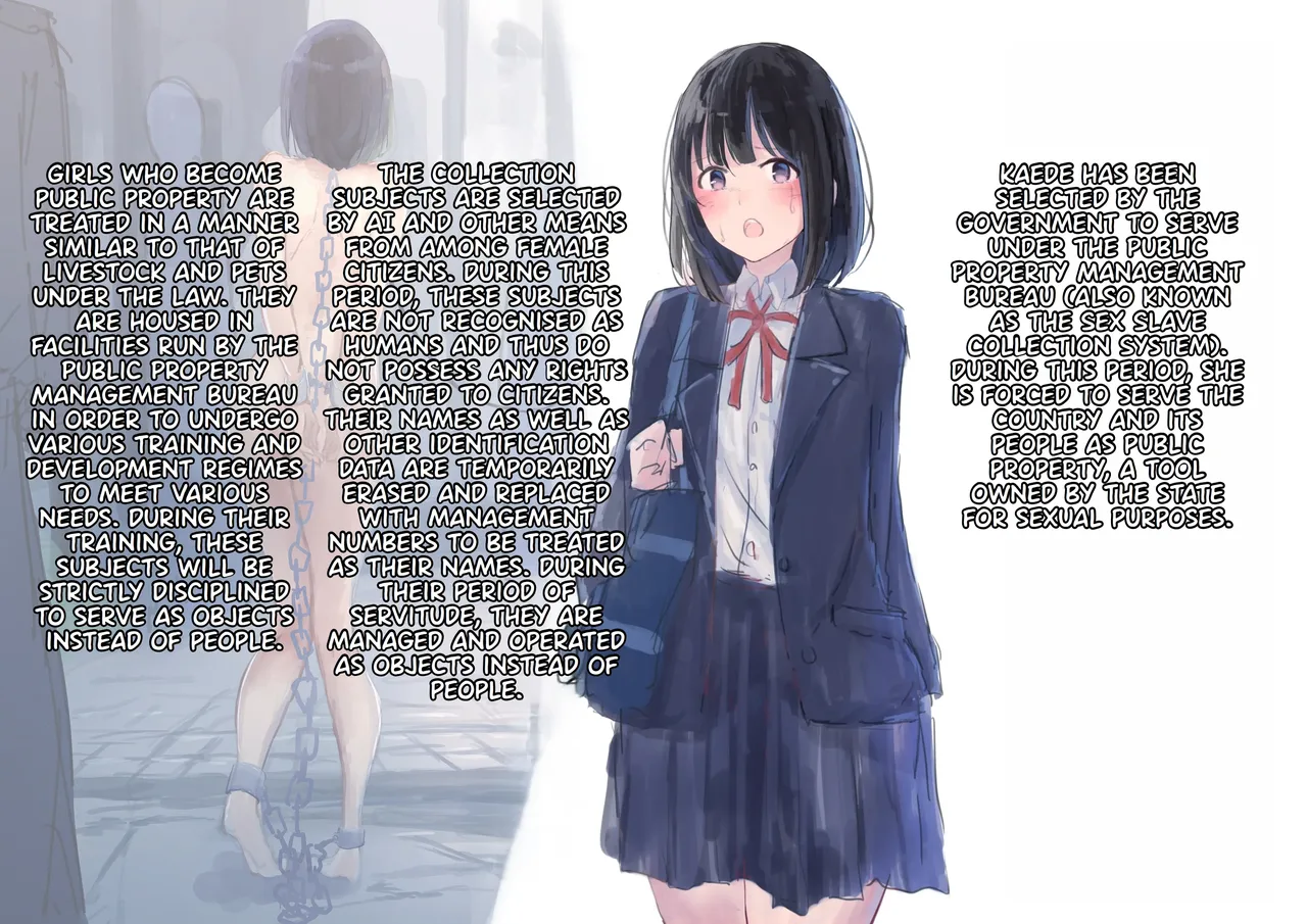 Kouyuubutsu Shoujo ~Kuni kara Jinken o Hakudatsu Saremono to Shite Atsukawareru Onnanoko no Hanashi~ | Public Property Girls ~A story about a girl deprived of her human rights by the state and treated as an object~ page 3 full