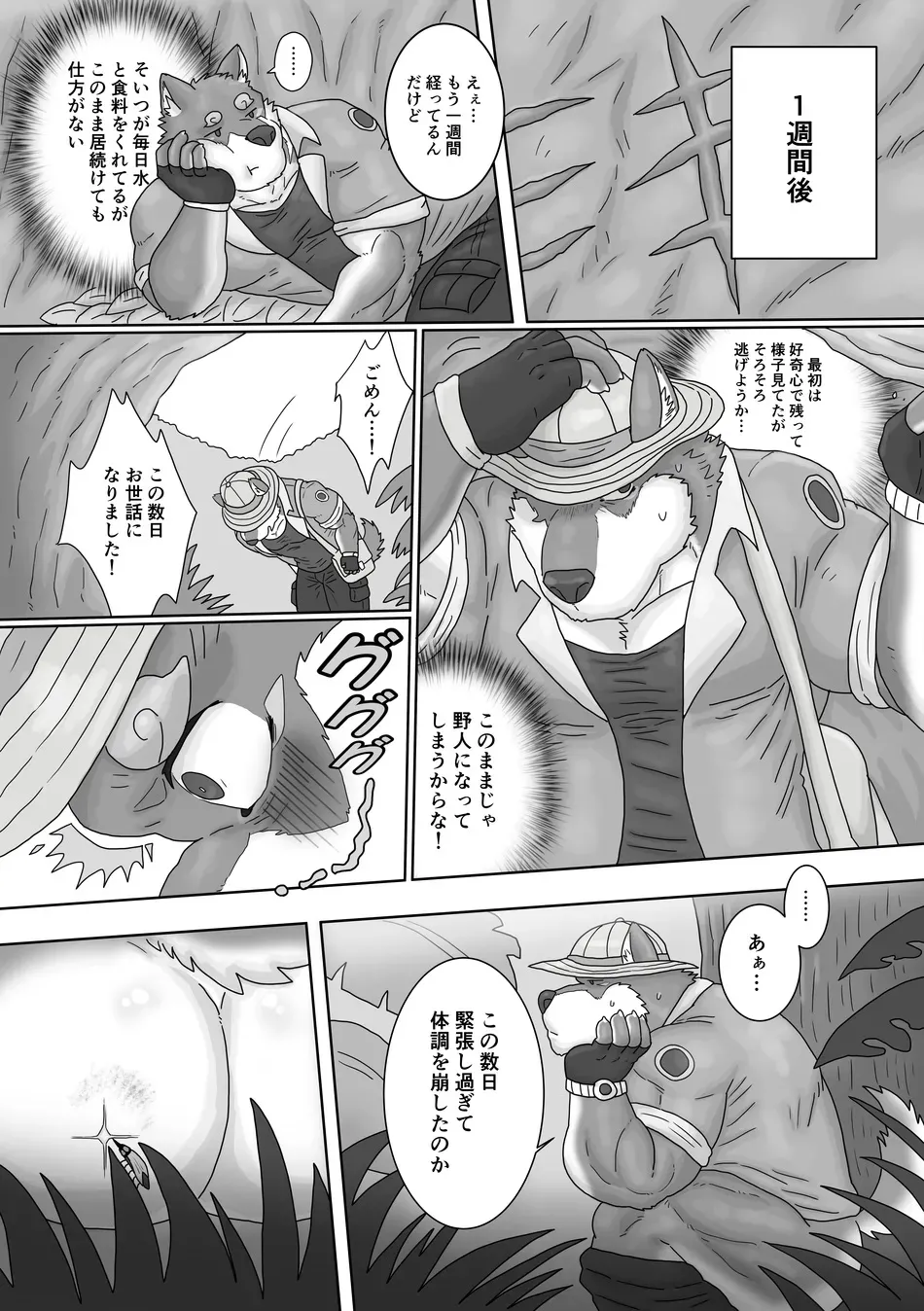 The Wild Secluded Region page 10 full