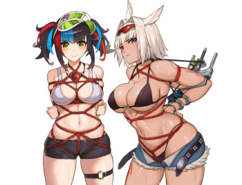 FGO &amp; 云图计划双人紧缚爽图 cover