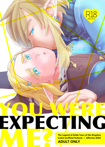 EXPECTING cover