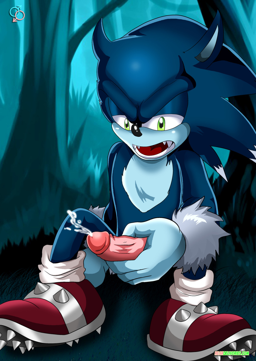 Mobius Unleashed: Yaoi page 9 full