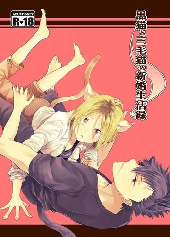 Kuroneko to Mikeneko no Shinkon Seikatsuroku cover