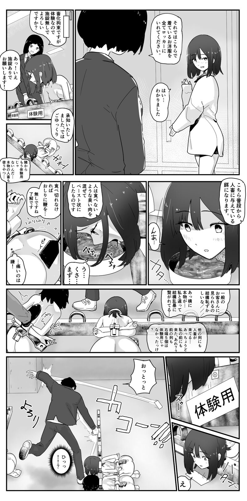 fest page 3 full
