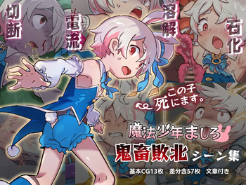 Mahou Shounen Mashiro Kichiku Haiboku Shiinshuu cover