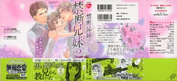 Kindan Kyoudai cover