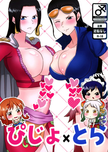 Pijotora cover