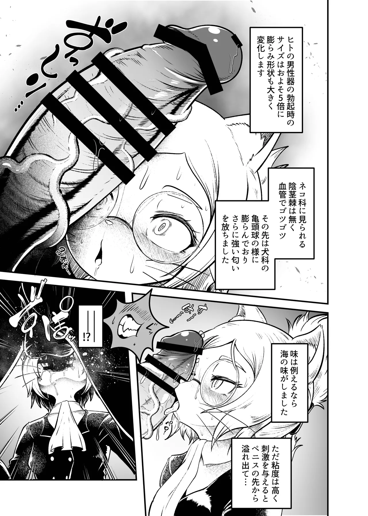 Tonelico Houdoukan no Ura  Houkokusho page 10 full