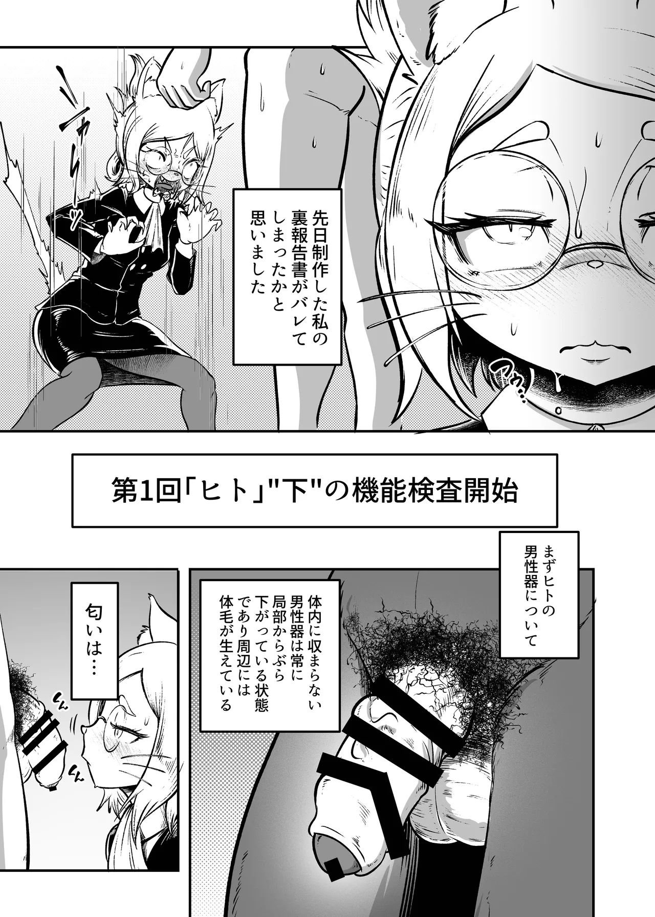 Tonelico Houdoukan no Ura  Houkokusho page 8 full