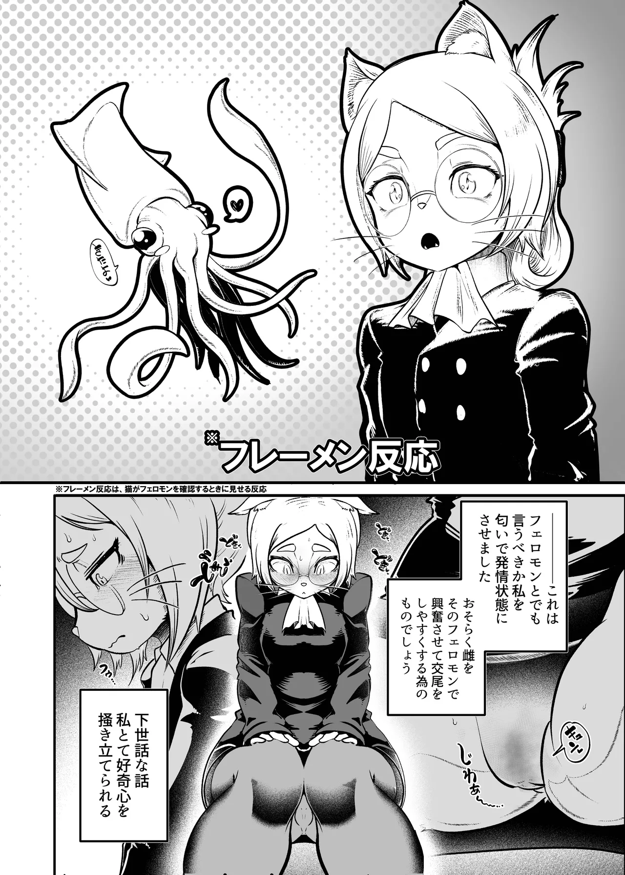 Tonelico Houdoukan no Ura  Houkokusho page 9 full