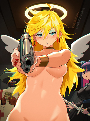Panty cover