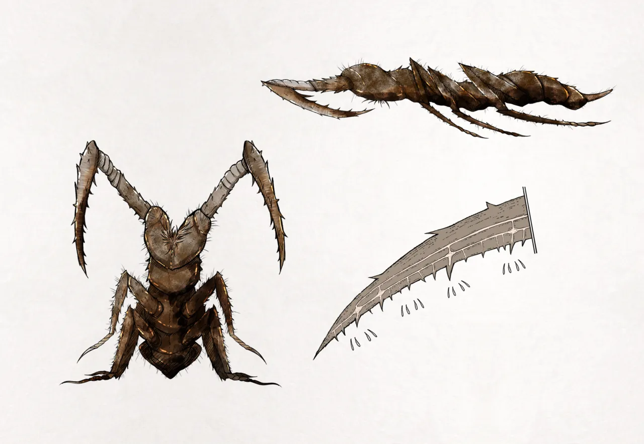 Insect Research Report No.21 page 5 full