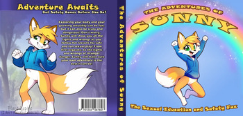 The Adventures of Sunny cover