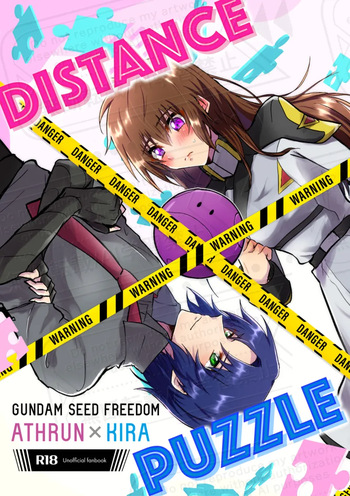DISTANCE×PUZZLE cover