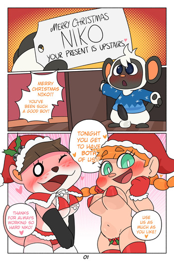Niko's Christmas cover