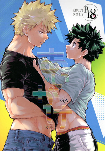 Aigake cover