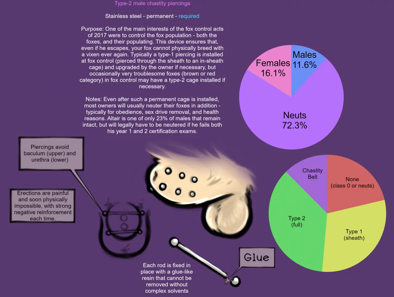 Train your pet page 2 full