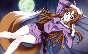 spice and wolf cover