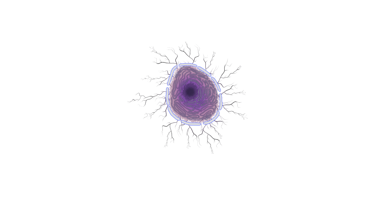 Anomaly Evolution v0.25 Full page 5 full