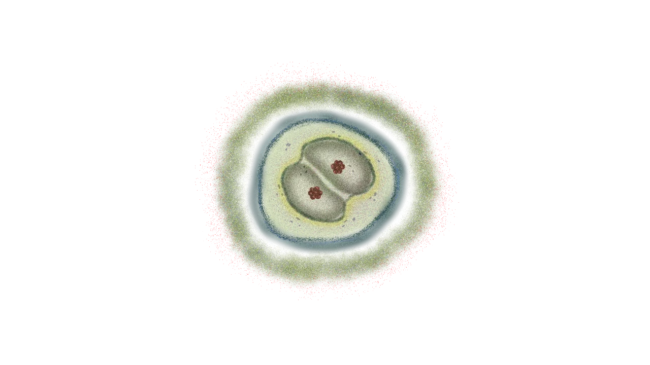 Anomaly Evolution v0.25 Full page 7 full