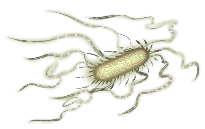 Anomaly Evolution v0.25 Full page 8 full