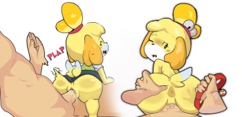Isabelle cover