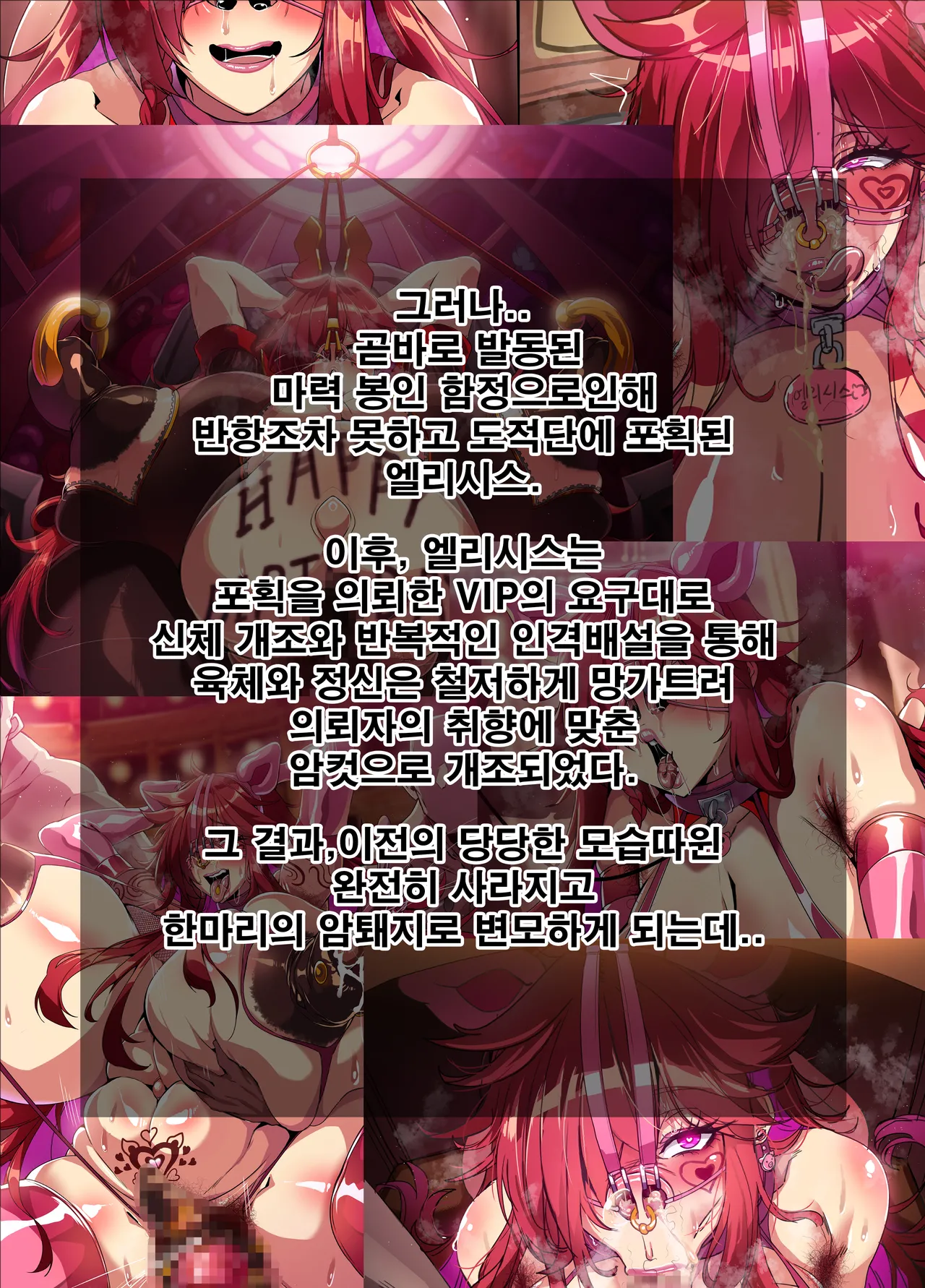 ELSWORD Series <1#Elesis F Lord> page 4 full