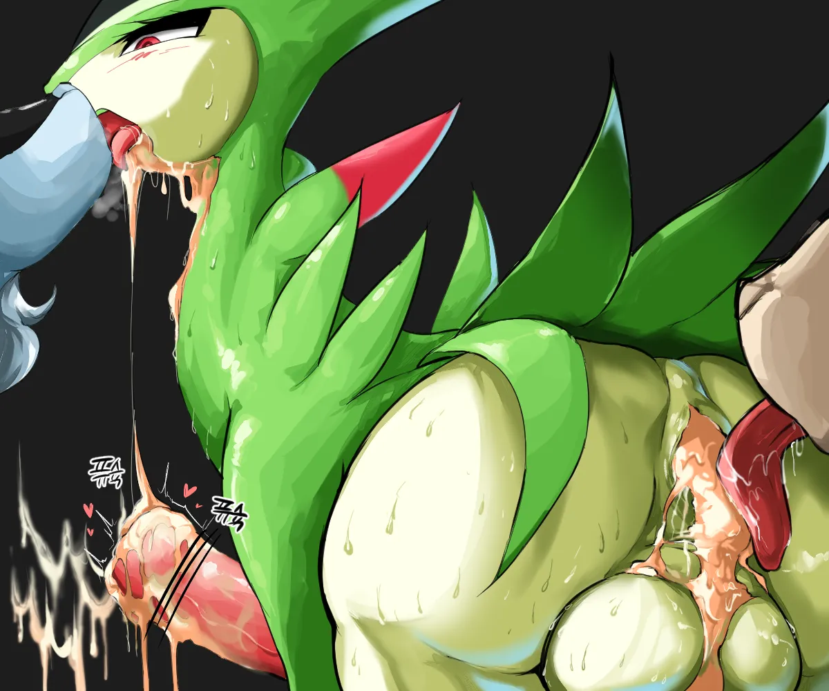 Seong-geomsaui Jajil page 4 full