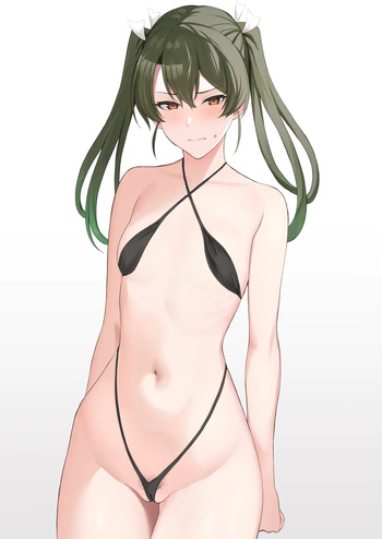 水着瑞鶴 cover