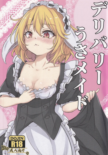 Delivery Usa Maid cover