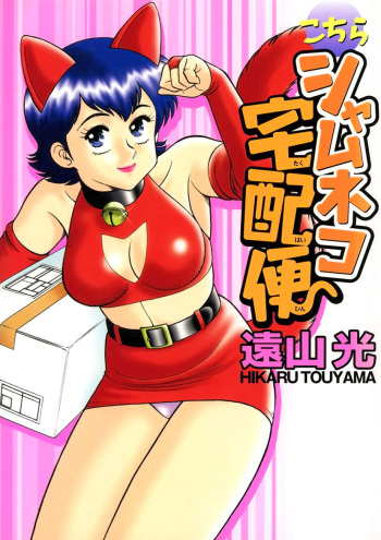 Shamese's Delivery Service cover