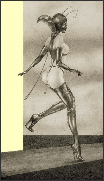 Alice in Rubberland cover