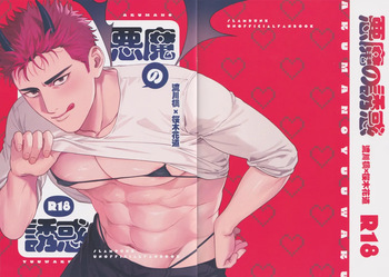 Akuma no yuuwaku cover