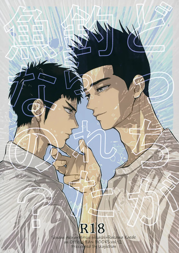 Docchi ga Tsurareta Sakana Nano? cover
