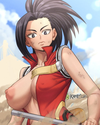 My Hero Academia Collection cover