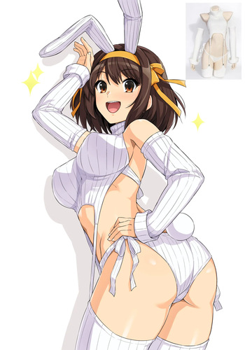 haruhisky cover